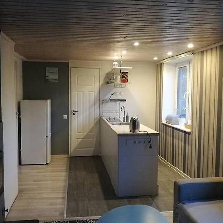 Quiet Place With Garden Studio Apartment Tallinn Bagian luar foto