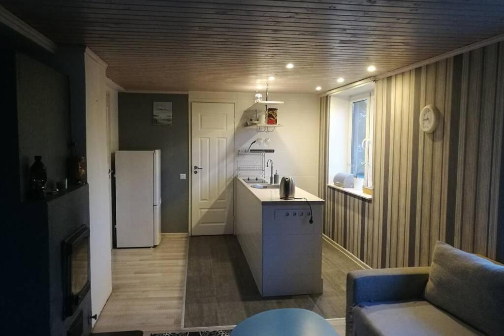 Quiet Place With Garden Studio Apartment Tallinn Bagian luar foto